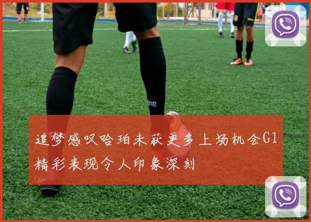追梦感叹哈珀未获更多上场机会G1精彩表现令人印象深刻