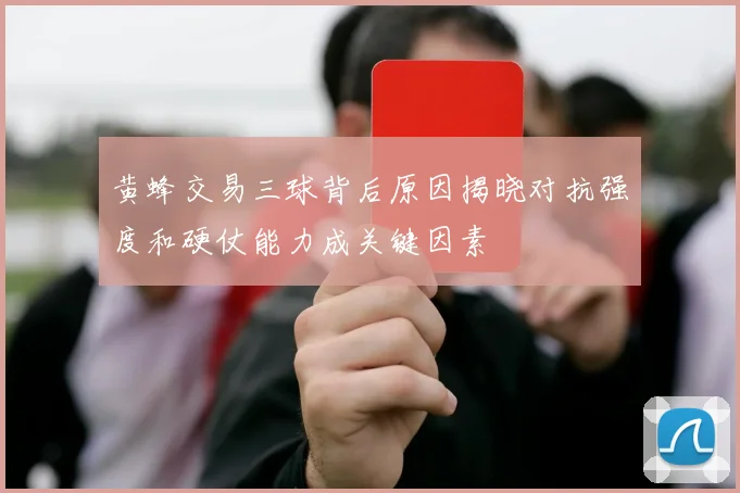 黄蜂交易三球背后原因揭晓对抗强度和硬仗能力成关键因素